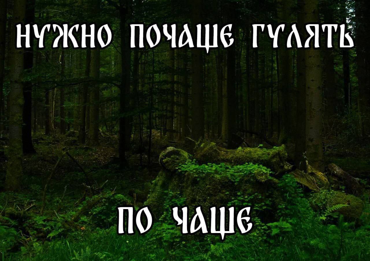 НУЖНО ПОЧАШЕ ГУАЯТЬ ЧАШЕ