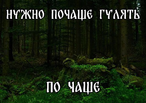 НУЖНО ПОЧАШЕ ГУАЯТЬ ЧАШЕ