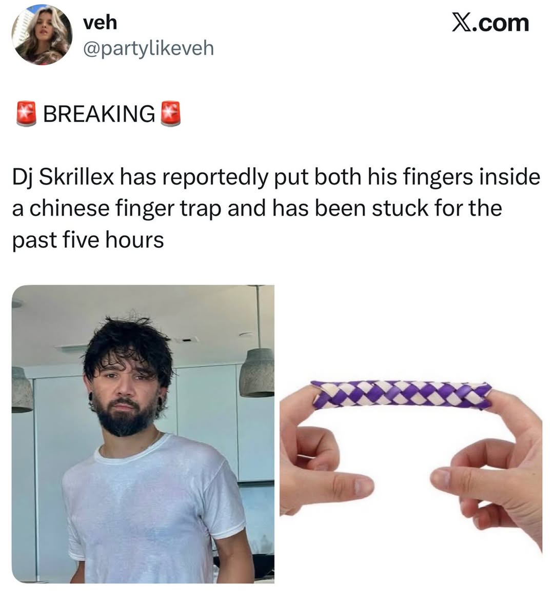 veh X.com @partylikeveh BREAKING Skrillex has reportedly put both his fingers inside a chinese finger trap and has been stuck for the past five hours