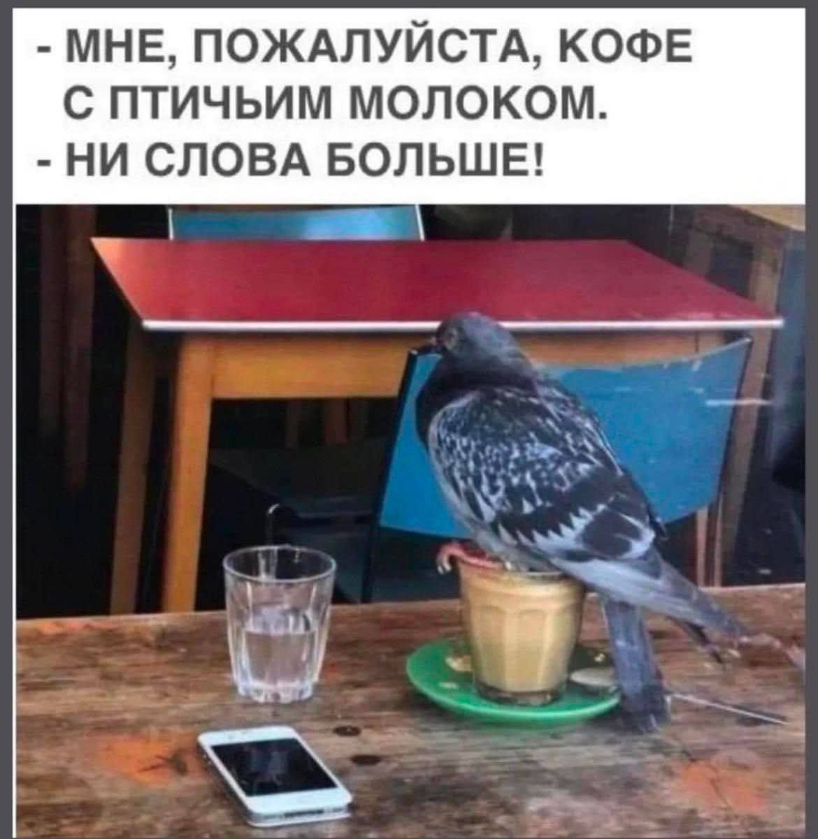 МНЕ, ПОЖАЛУЙСТА, КОФЕ С ПТИЧЬИМ МОЛОКОМ. НИ СЛОВА БОЛЬШЕ!