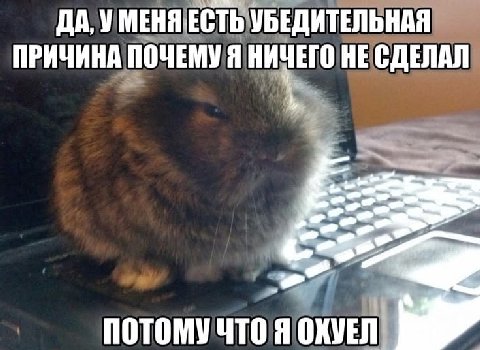 ДА, У МЕНЯ ЕСТЬ УБЕДИТЕЛЬНАЯ ПРИЧИНА ПОЧЕМУЯ НИЧЕГО НЕ СДЕЛАЛ потомучто я