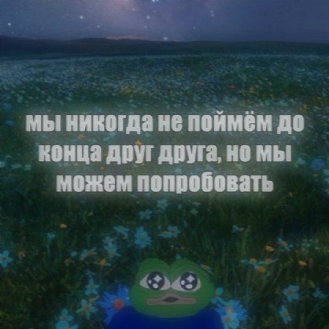 мы никогда не поймём до конца друг друга, но мы можем попробовать