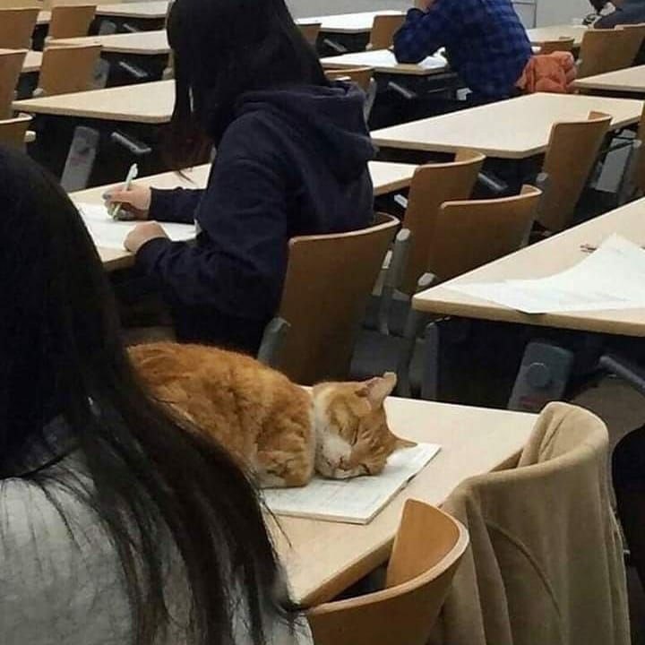 А 7