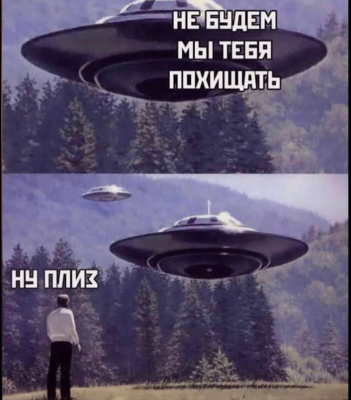НЕБУДЕМ МЫ ТЕБЯ ПОХИЩАТЬ НУ ПЛИЗ