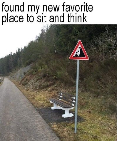 found new favorite place to sit and think