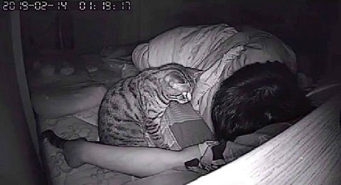осторожно здесь нет тройных шуточек вообще никаких