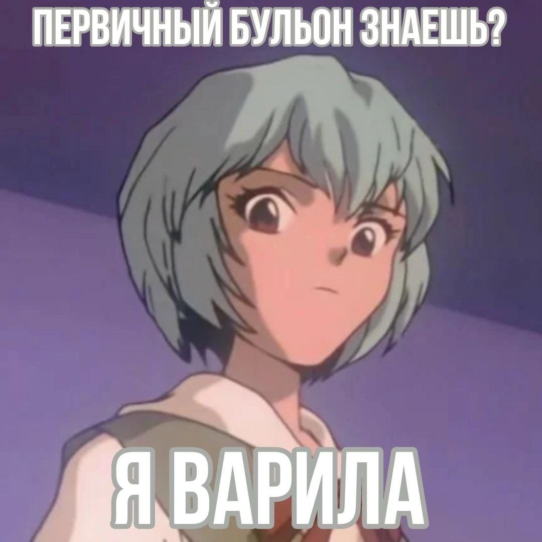 ПЕРВИЧНЫЙ БУЛЬОН ЗНАЕШЬ? ВАРИЛА