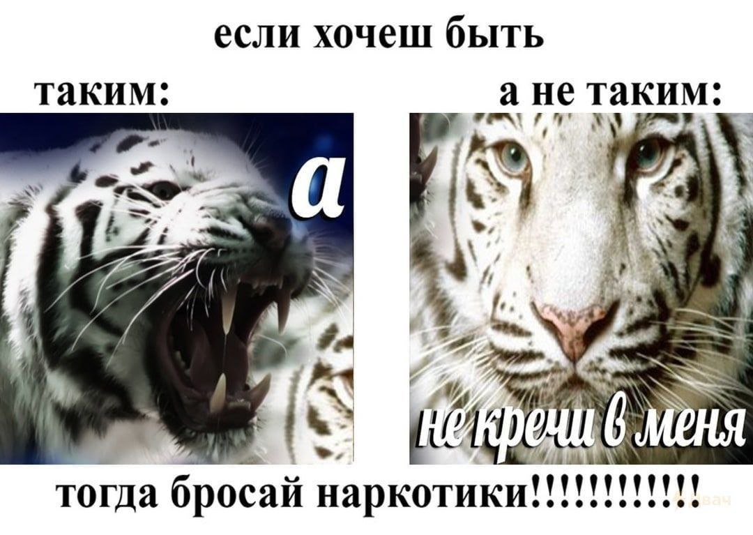 если хочеш быть таким: а не таким: 4 А a тогда бросай наркотики!!!!!!!!!!!!