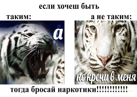 если хочеш быть таким: а не таким: 4 А a тогда бросай наркотики!!!!!!!!!!!!