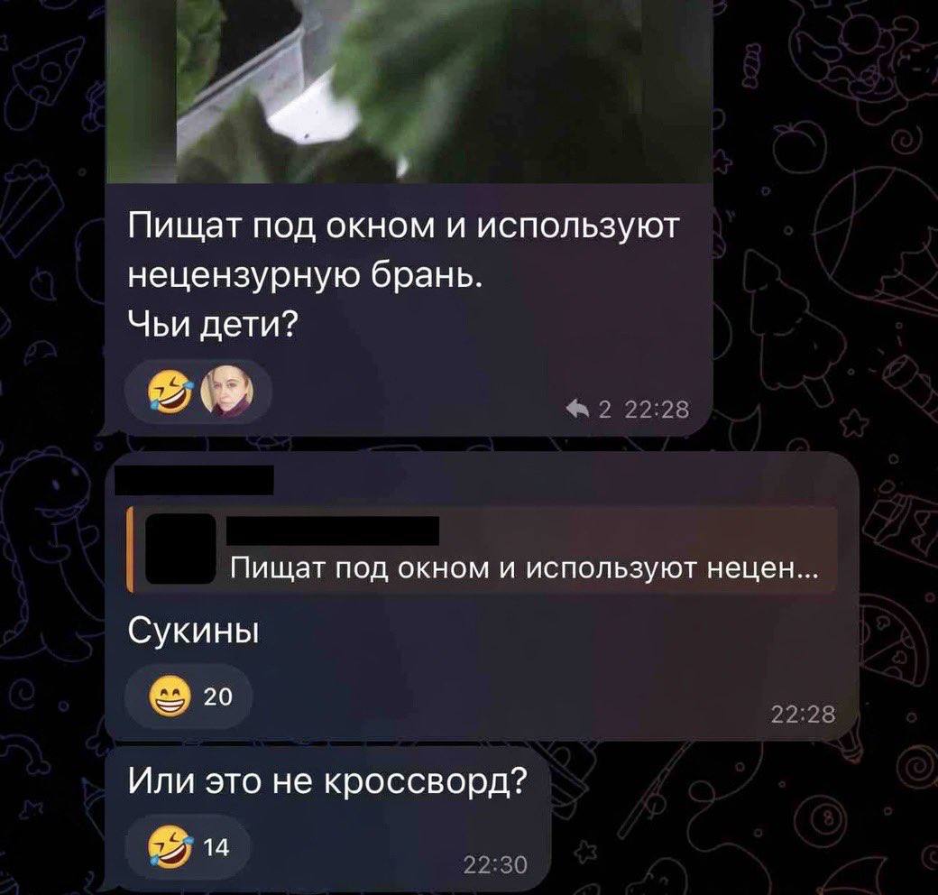 Пищат под окном и используют нецензурную брань. Чьи дети? Пищат под окном и используют нецен Сукины 20 Или это не кроссворд?