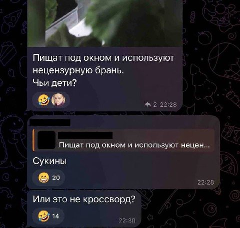 Пищат под окном и используют нецензурную брань. Чьи дети? Пищат под окном и используют нецен Сукины 20 Или это не кроссворд?