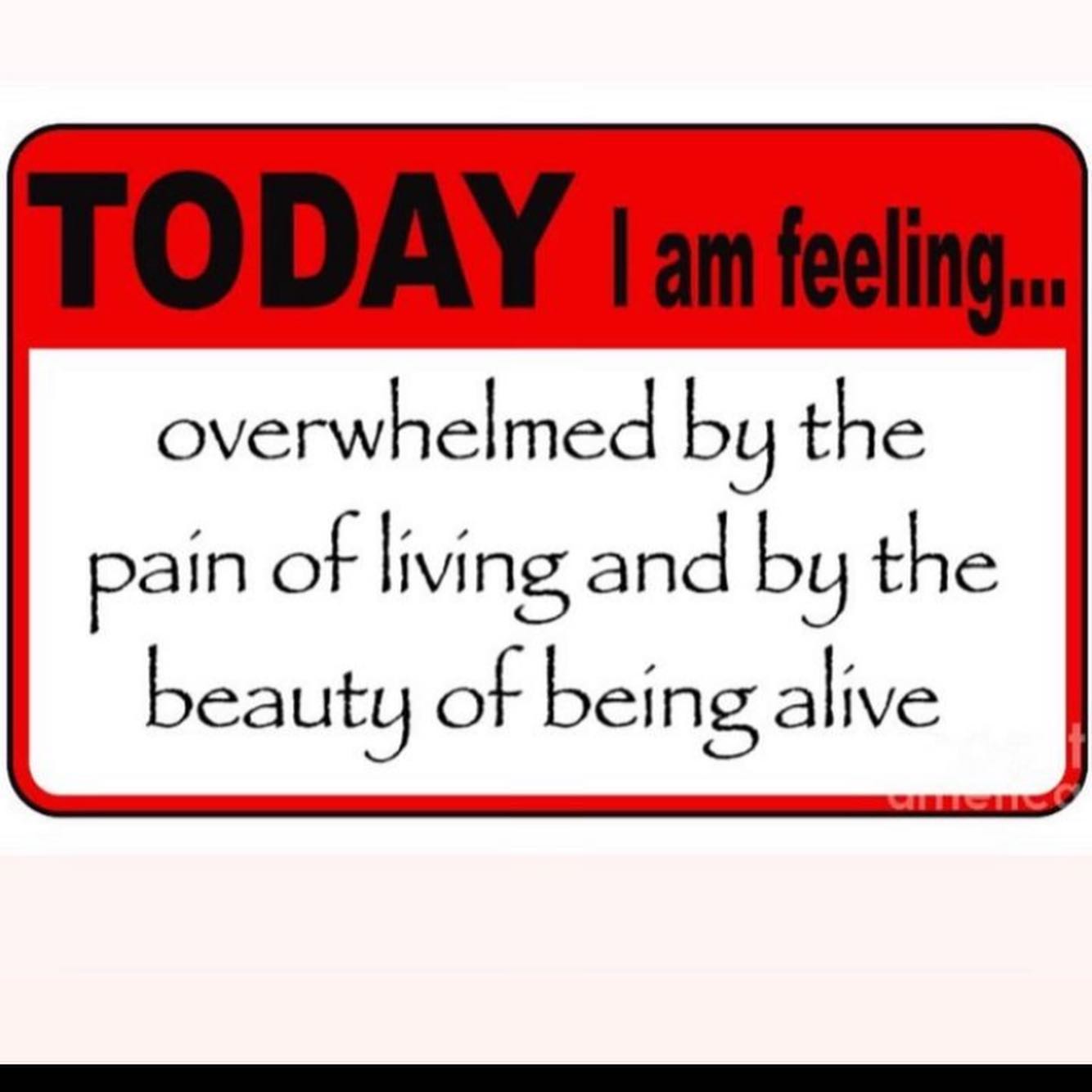 overwhelmed the pain of living and the beauty of being alive