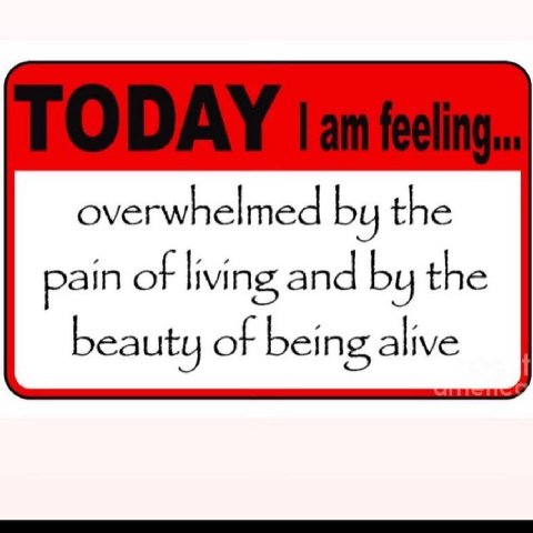 overwhelmed the pain of living and the beauty of being alive