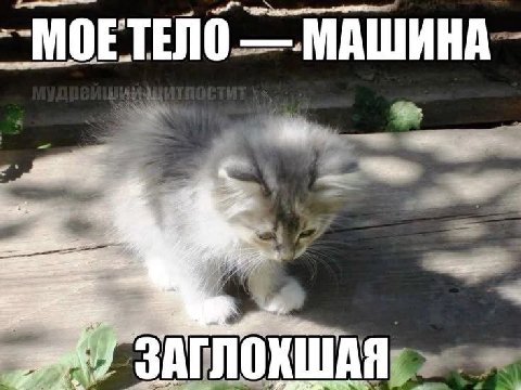 МОЕТЕЛО МАШИНА ЗАГЛ ОХШАЯ