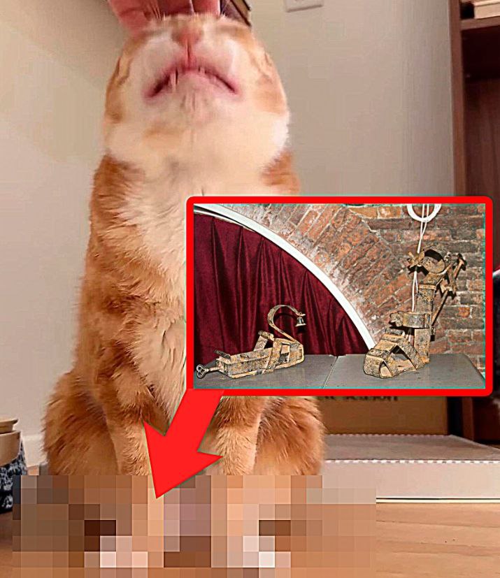 Ong А 7 A