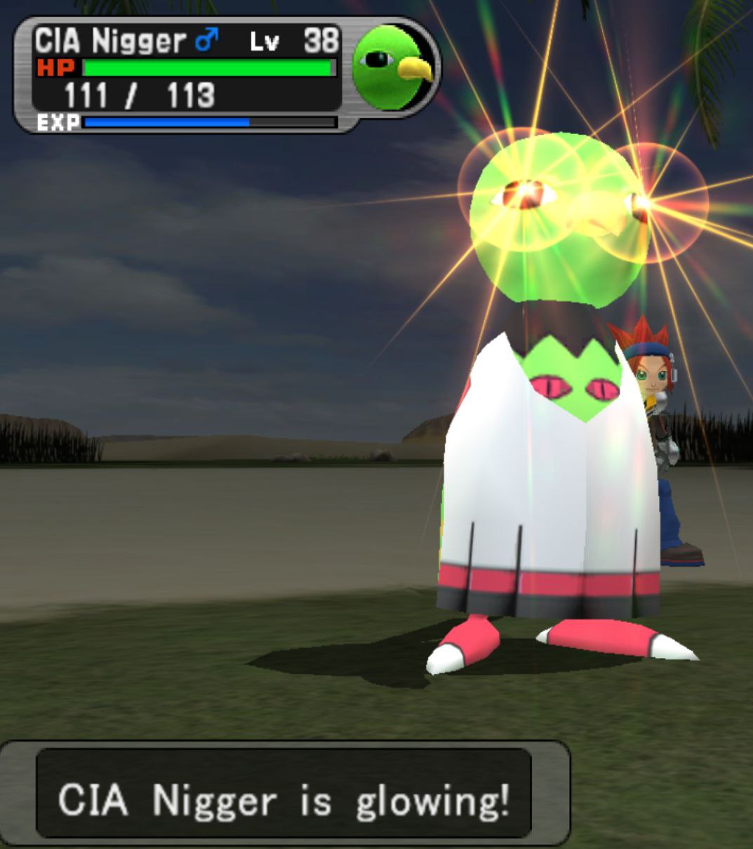 CIA Nigger 38 113 CIA Nigger is glowing!