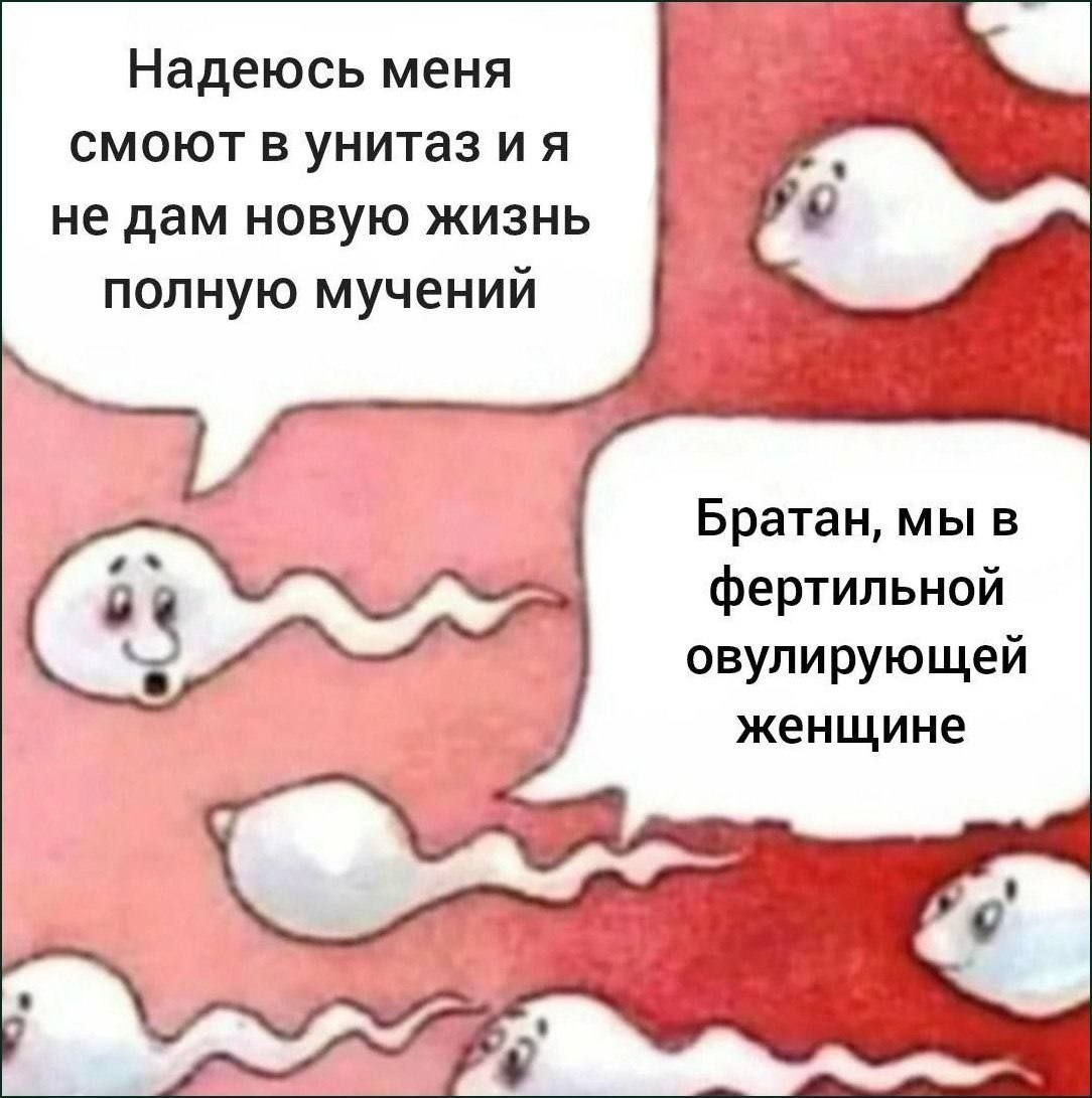 Надеюсь меня A смоют в унитаз не дам новую жизнь полную мучений Братан, мы в фертильной овулирующей женщине у