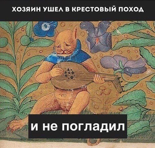 ХОЗЯИН УШЕЛ В КРЕСТОВЫЙ ПОХОД ине погладил