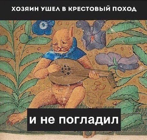 ХОЗЯИН УШЕЛ В КРЕСТОВЫЙ ПОХОД ине погладил