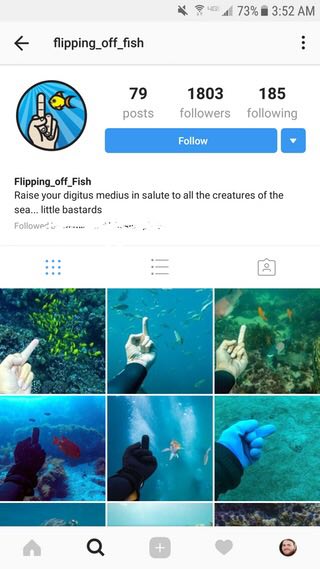 73% 3:52 flipping_off_fish 79 1803 185 followers following Flipping_off_Fish Raise your digitus medius in salute to all the creatures of the little bastards a3
