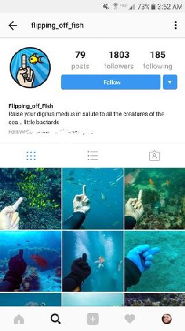 73% 3:52 flipping_off_fish 79 1803 185 followers following Flipping_off_Fish Raise your digitus medius in salute to all the creatures of the little bastards a3