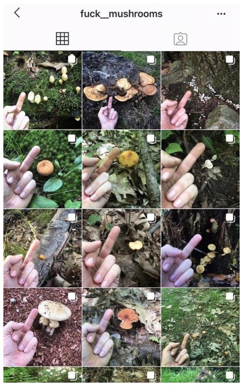 fuck_mushrooms a) 4 i) А К к 3 A 7 Be у 9 2 у я 2 a 2 у 4 «к