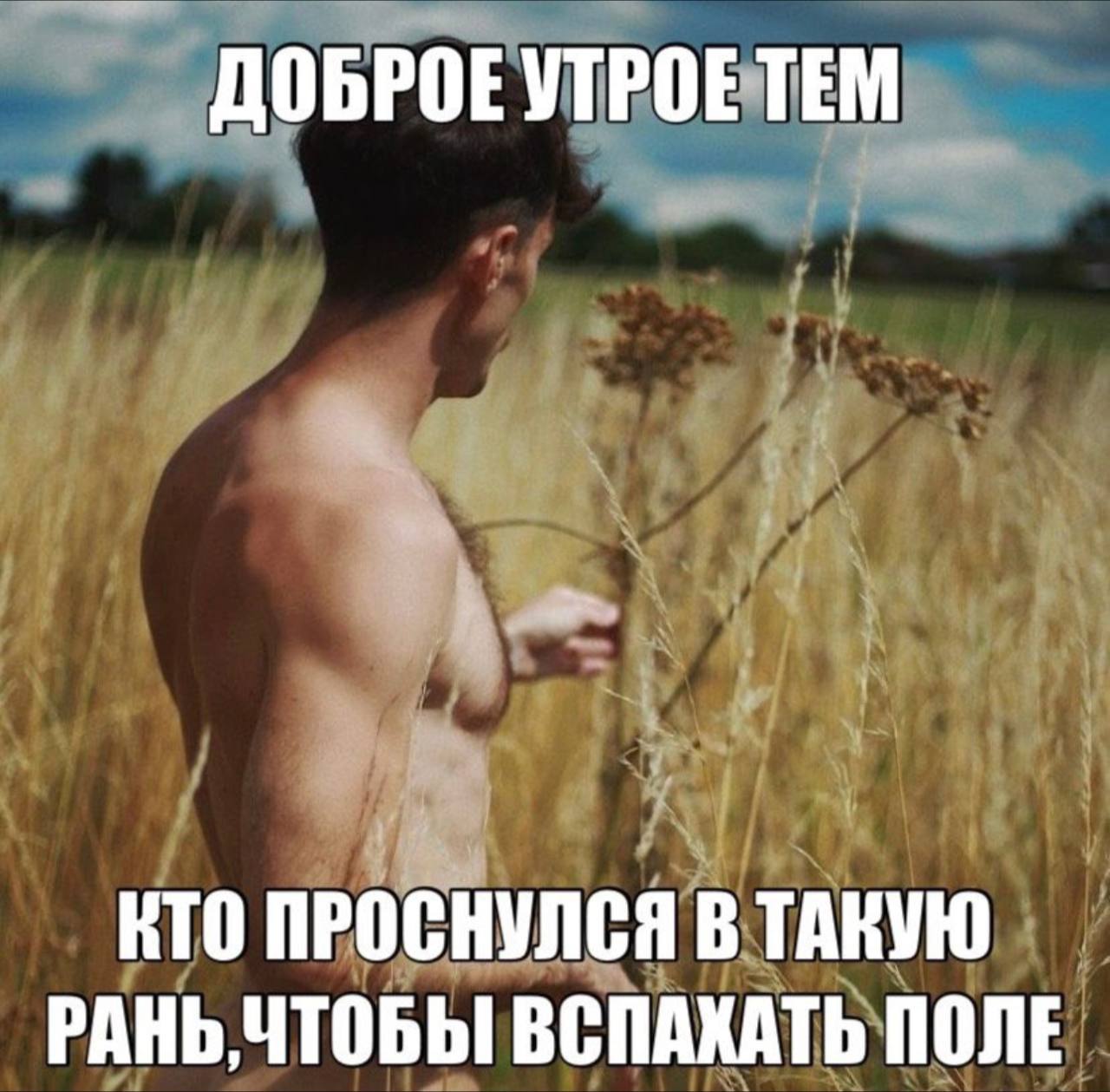 ДОБРОЕ УТРОЕ ТЕМ ВТО ПРОСНУЛСЯ В ТАКУЮ РАНЬ, ЧТОБЫ ВСПАХАТЬ ПОЛЕ