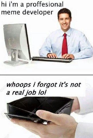 а proffesional meme developer whoops i forgot it's not a real job