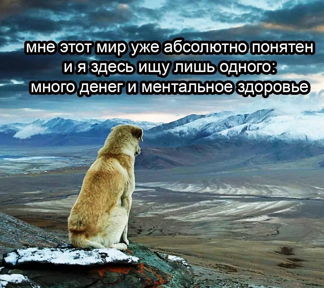 мне этот мир уже абсолютно.понятен и я здесь ищу лишь одного: много денег и ментальное здоровьей A у 5