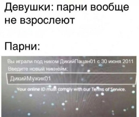 Девушки: парни вообще не взрослеют Парни: Вы играли под ником ДикийПацано1 с 30 июня 2011 Введите новый никнейм.