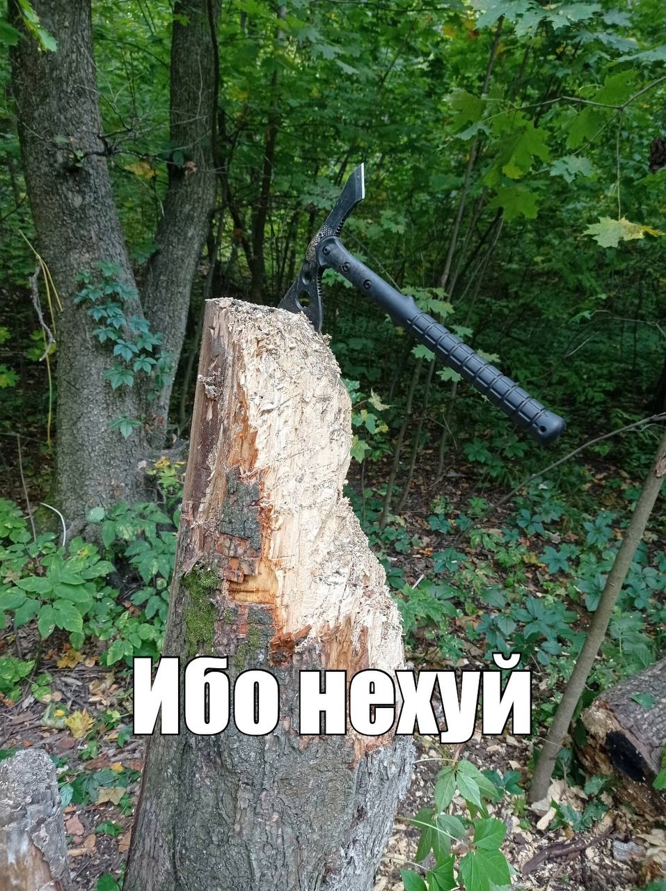 if и я Ибо И у we at oka