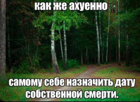 как же ахуенно самому себе назначить дату собственной смерти.