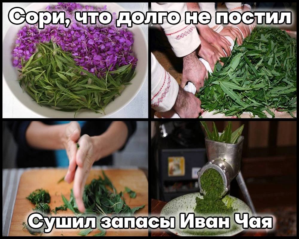 He] пбстил что У, запас Чая