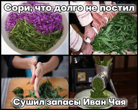 He] пбстил что У, запас Чая