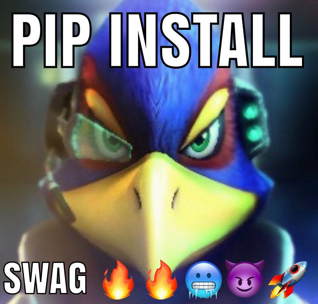 PIP INSTALL 4 SWAG