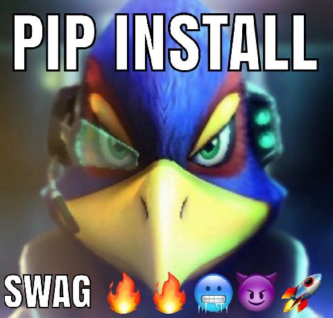 PIP INSTALL 4 SWAG