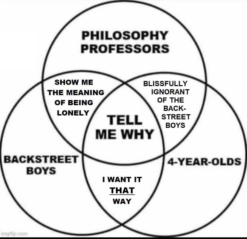 PHILOSOPHY PROFESSORS SHOW ME BLISSFULLY THE MEANING IGNORANT OF BEING OF THE LONELY BACK- STREET BOYS BACKSTREET 4-YEAR-OLDS BOYS 1 WANT IT THAT WAY