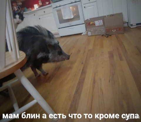 мам блин а есть что то кроме супа