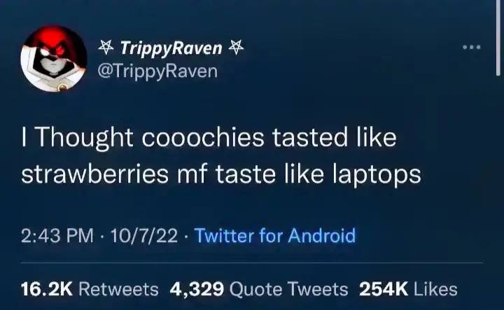 ТирруКауеп @TrippyRaven Thought cooochies tasted like strawberries taste like laptops 2:43 10/7/22 for Andraic: Retweets 4,329 Quote Tweets Likes