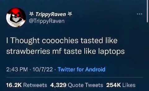 ТирруКауеп @TrippyRaven Thought cooochies tasted like strawberries taste like laptops 2:43 10/7/22 for Andraic: Retweets 4,329 Quote Tweets Likes