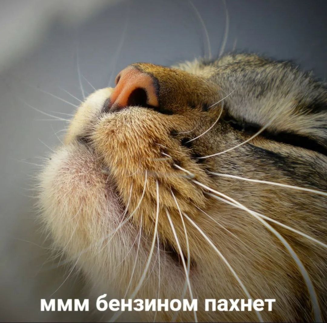 ммм бензином пахнет