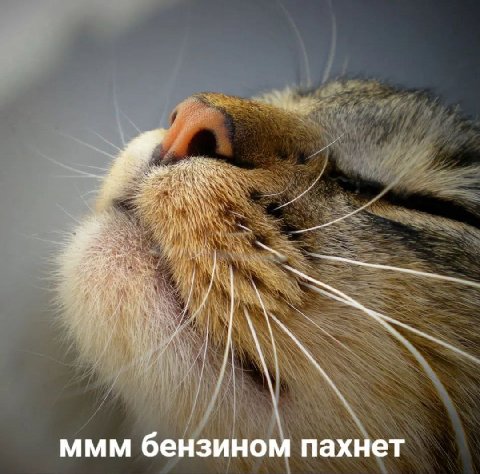 ммм бензином пахнет