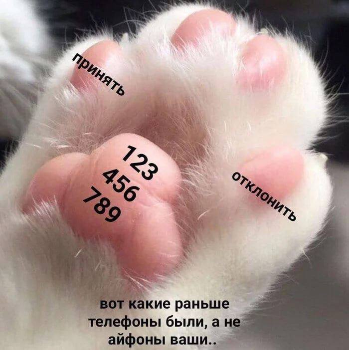 7 вот какие раньше телефоны были, а не айфоны ваши..