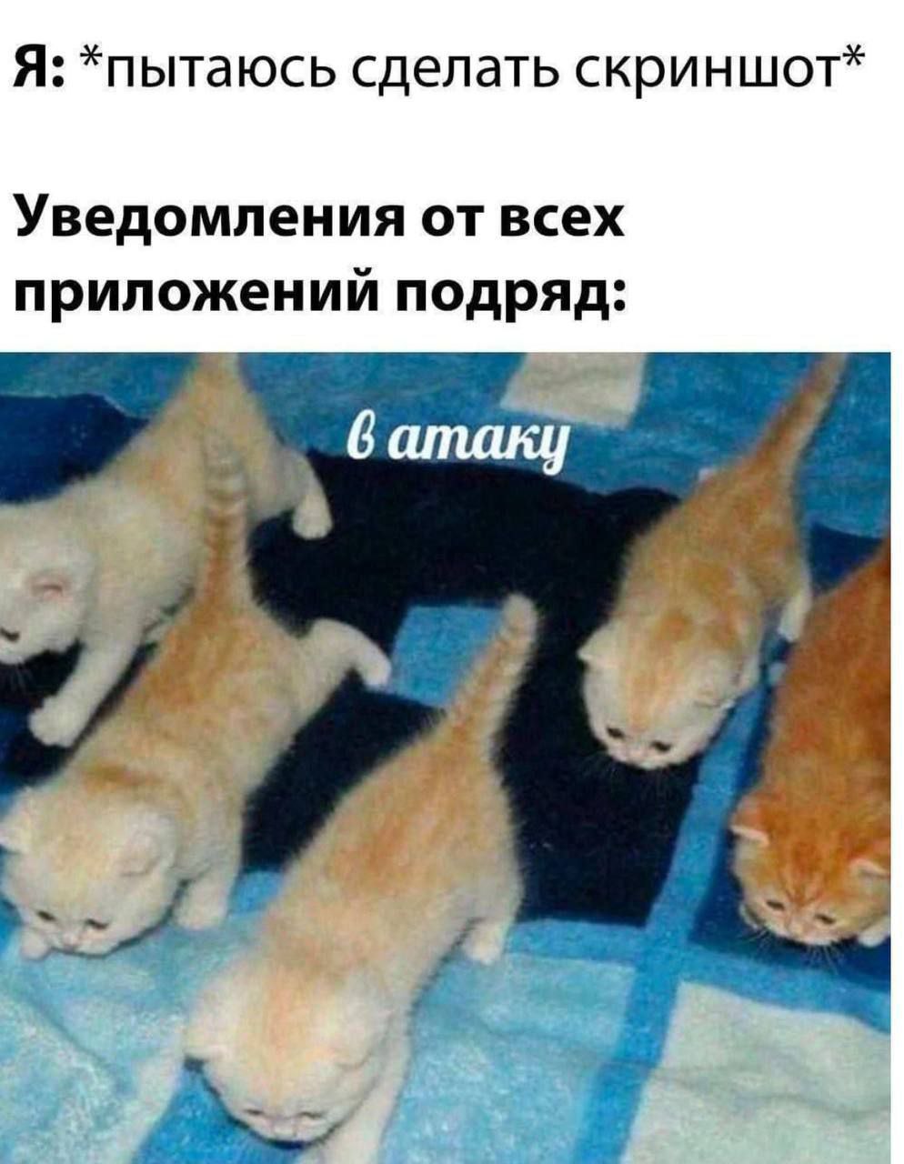 Я: *пытаюсь сделать скриншот* Уведомления от всех приложений подряд: 4 4 4
