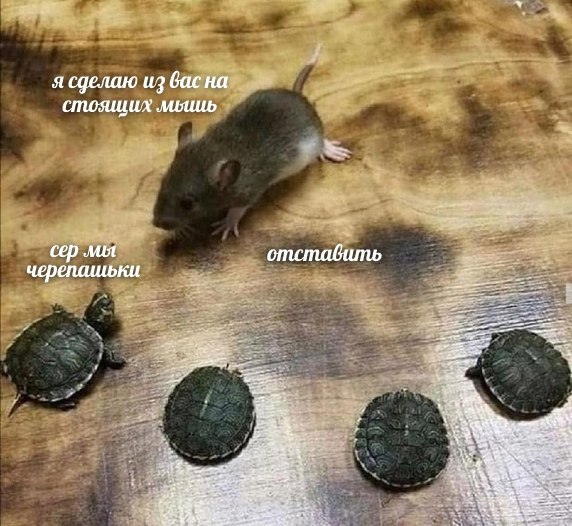я сделаю из вас на мошь отставить сер лия черепашьки i 74