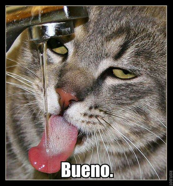 27 a i Bueno