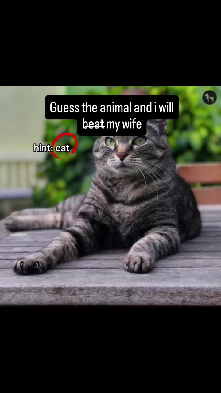 Guess the animal and i will | и