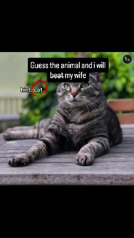 Guess the animal and i will | и