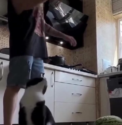 мем