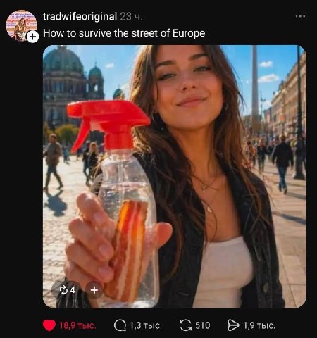 tradwifeoriginal 23 How to survive the street of Europe 1,3 тыс. 1,9 тыс.